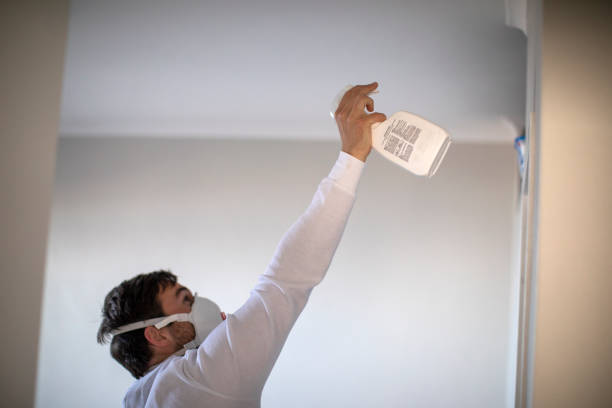 Best Certified Mold Removal  in Pablo, MT